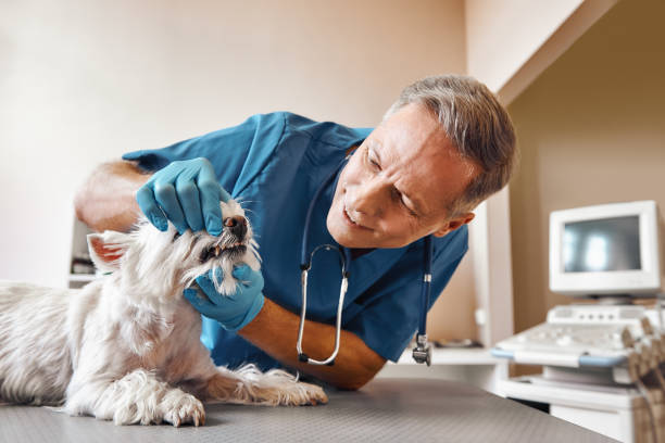 Best Emergency Dental Extractions in East Cleveland, OH