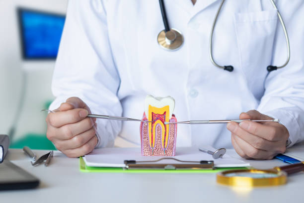 Best Holiday Emergency Dentist in East Cleveland, OH
